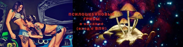 apvp Медвежьегорск