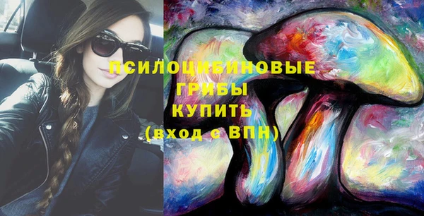 apvp Медвежьегорск