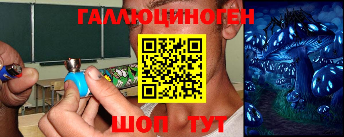 Псилоцибиновые грибы Psilocybine cubensis  Вход с VPN  Галлюциногенные грибы мухоморы  Солнечногорск 