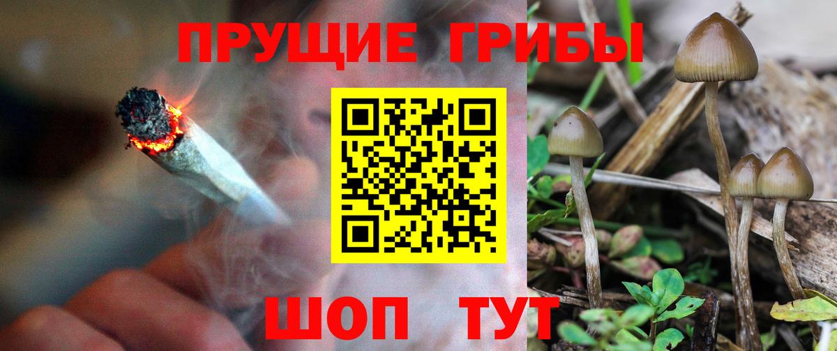 Псилоцибиновые грибы ЛСД Солнечногорск